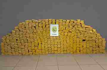 Pinhão - Forças de segurança apreendem grande quantidade de maconha e prendem três suspeitos